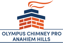 Olympus Chimney Pro